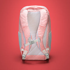 EVERGOODS X Carryology | Mountain Panel Loader 22L MPL22