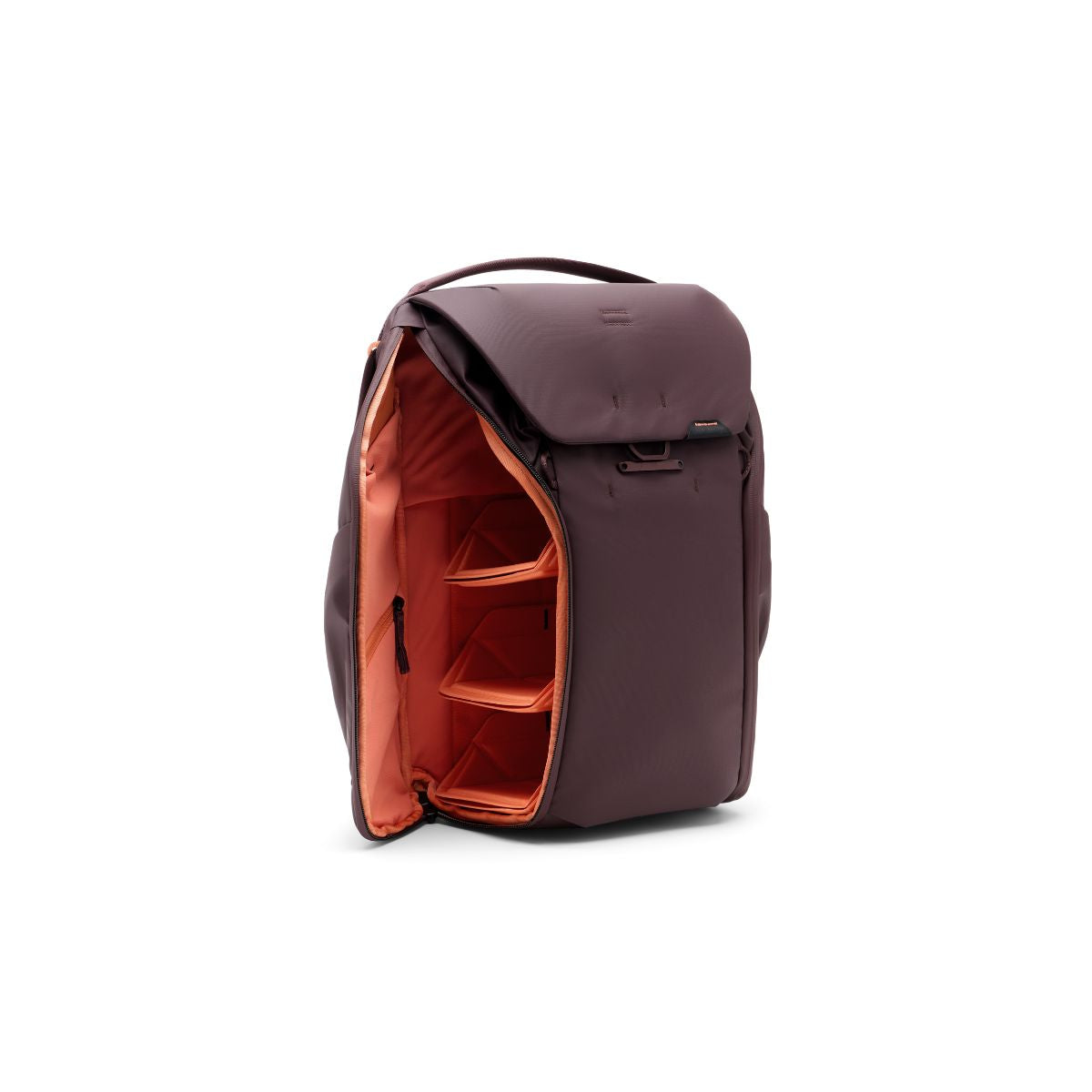 Everyday Backpack v2