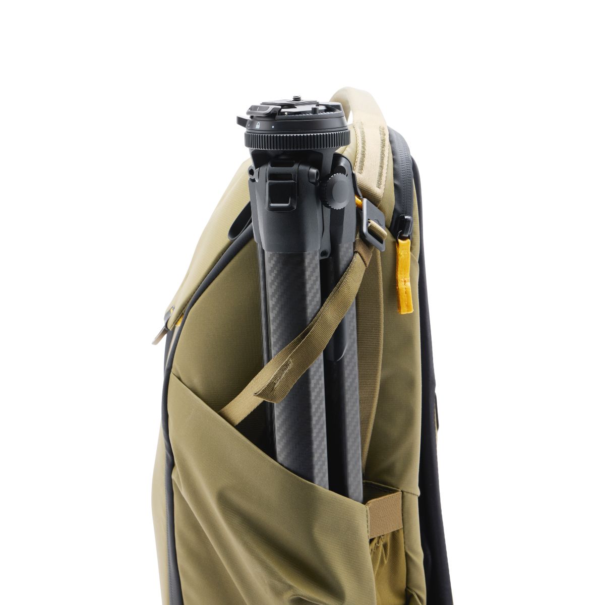 Everyday Backpack v2