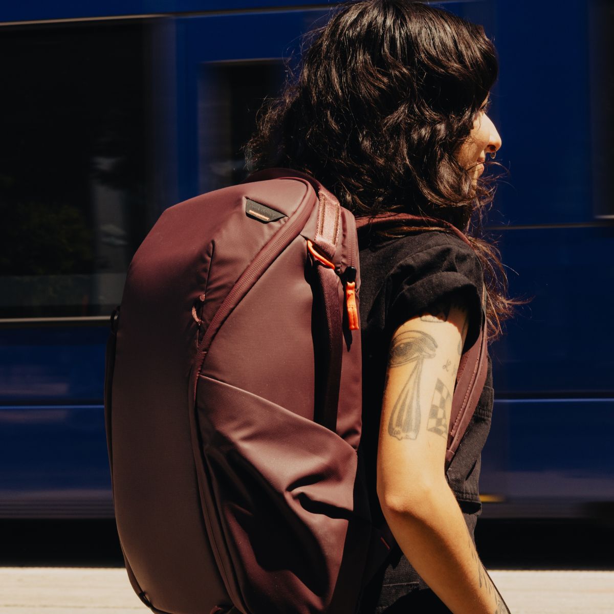 Everyday Backpack Zip v2