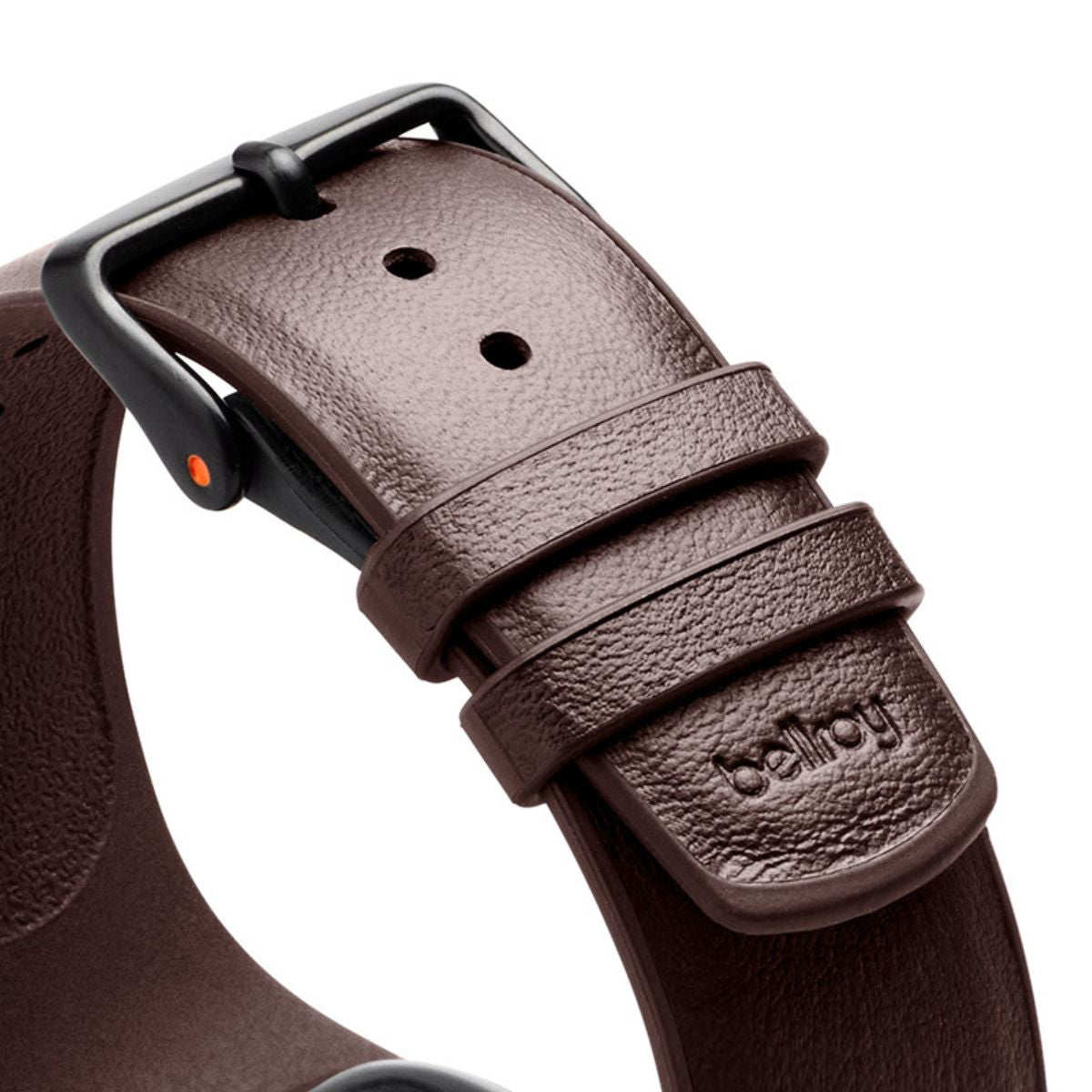 Apple Watch Strap (Second Edition)