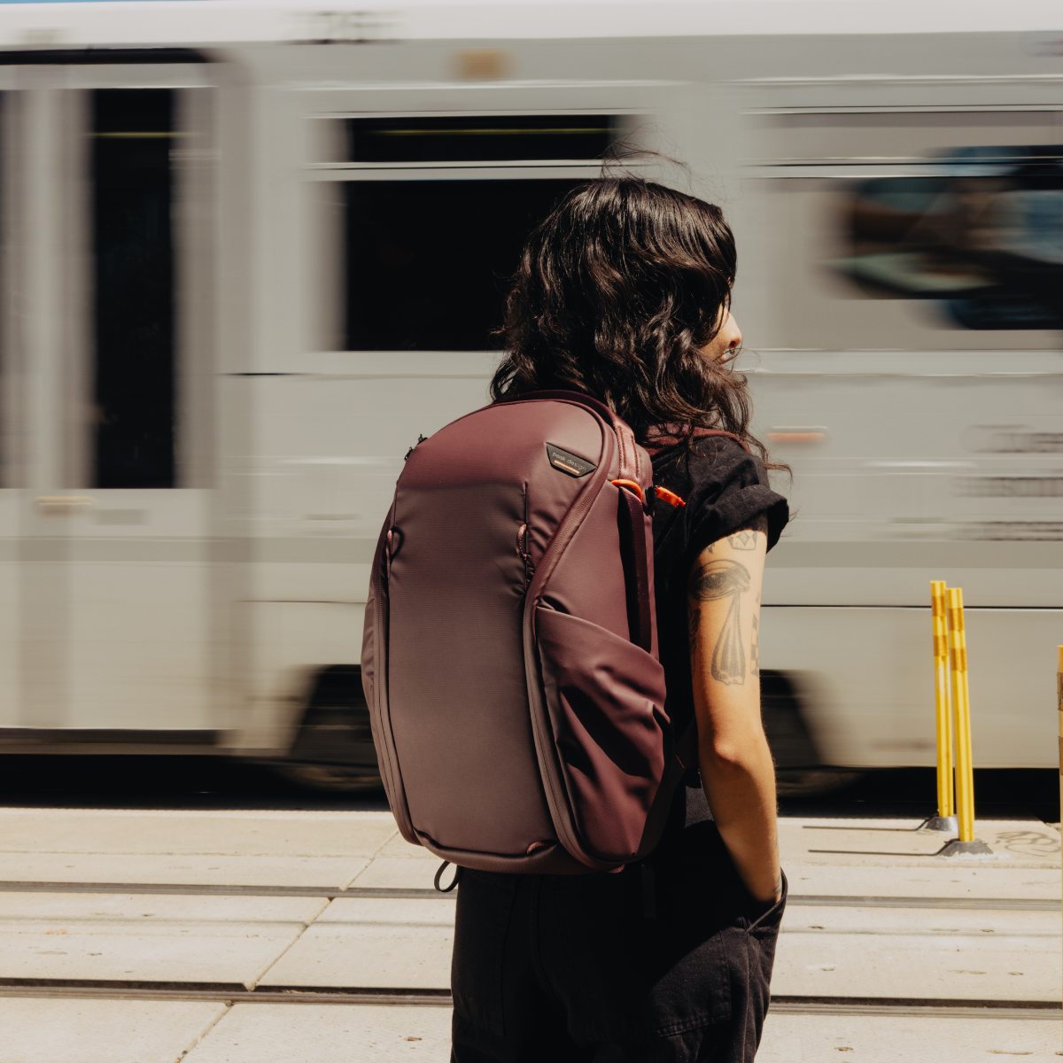 Everyday Backpack Zip v2