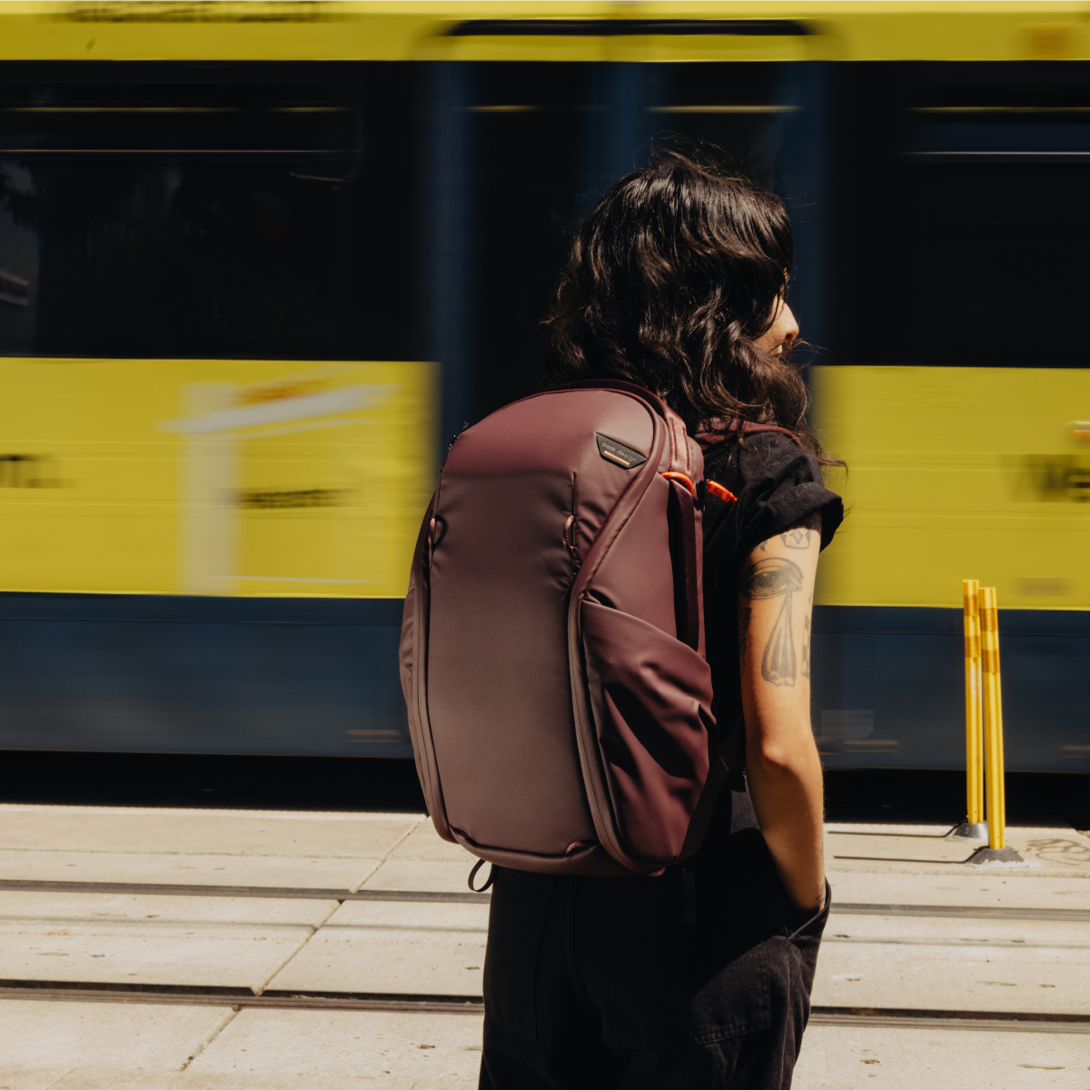 Everyday Backpack Zip v2