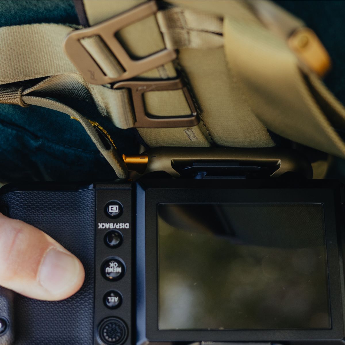 Capture