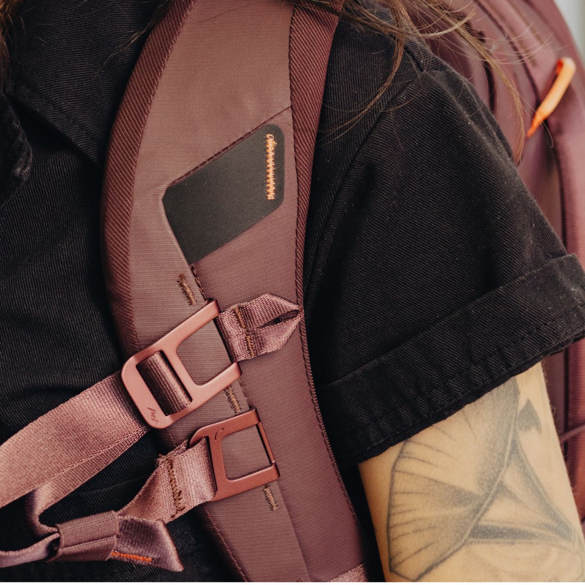Everyday Backpack Zip v2